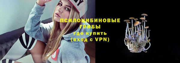 спиды Видное