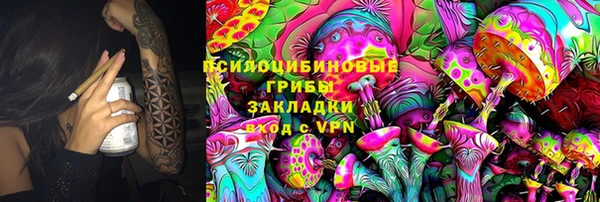apvp Майский