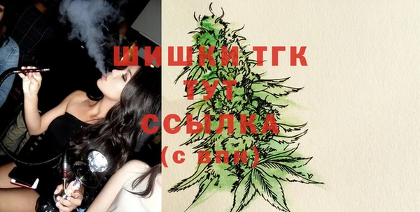ешки Ветлуга