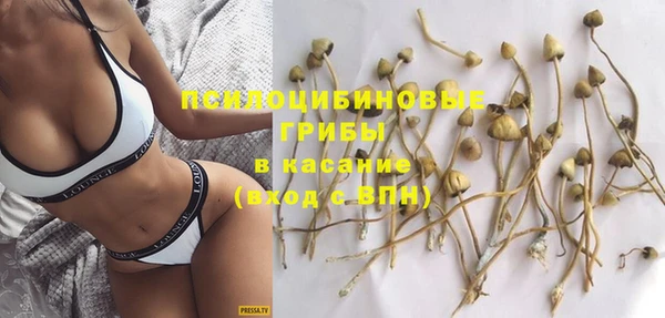 apvp Майский